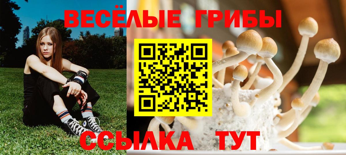 Псилоцибиновые грибы прущие грибы Кызыл